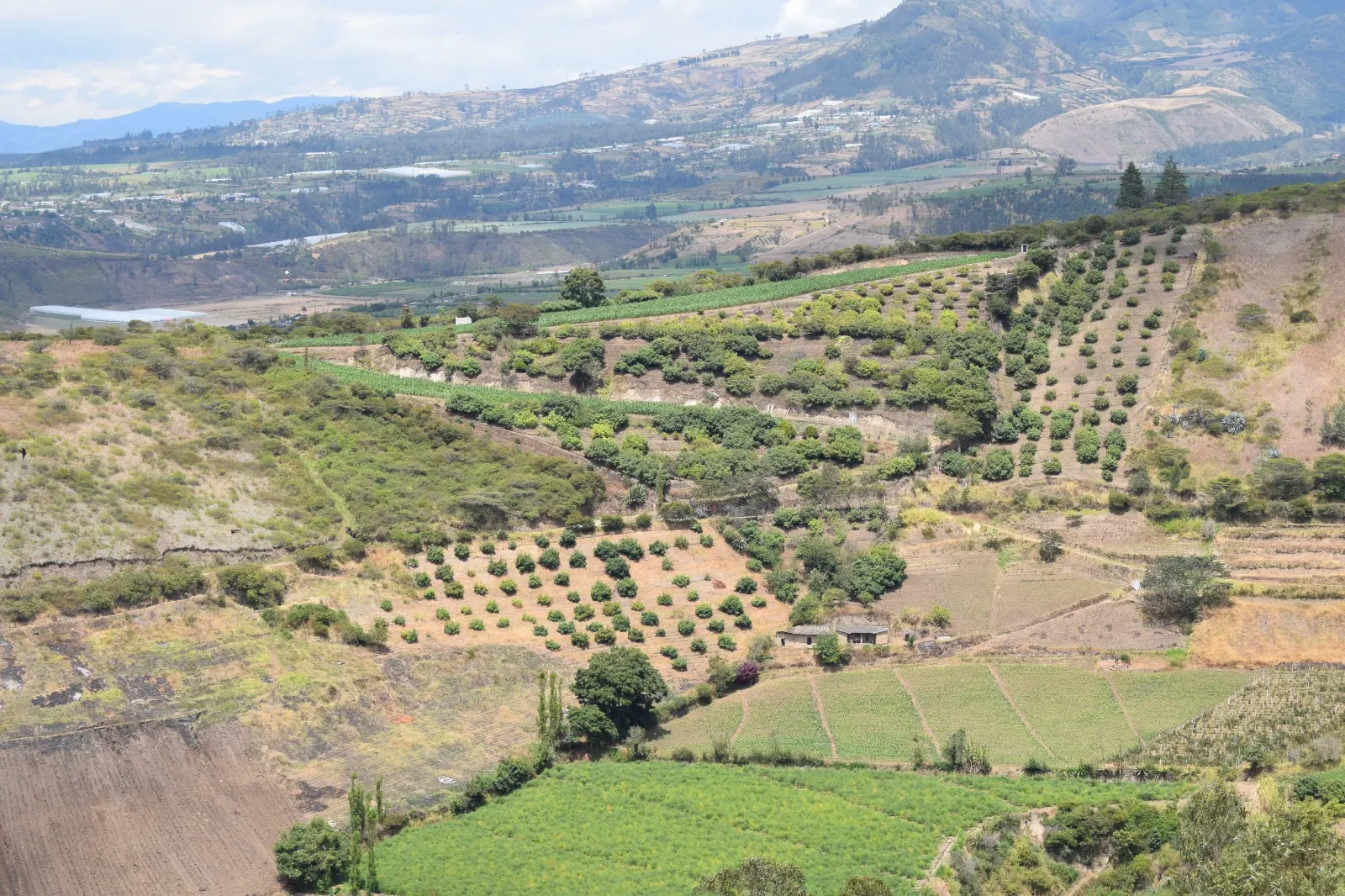 San Blas es desde su origen un pueblo de agricultores. Cr&eacute;dito: C&eacute;sar Vinueza