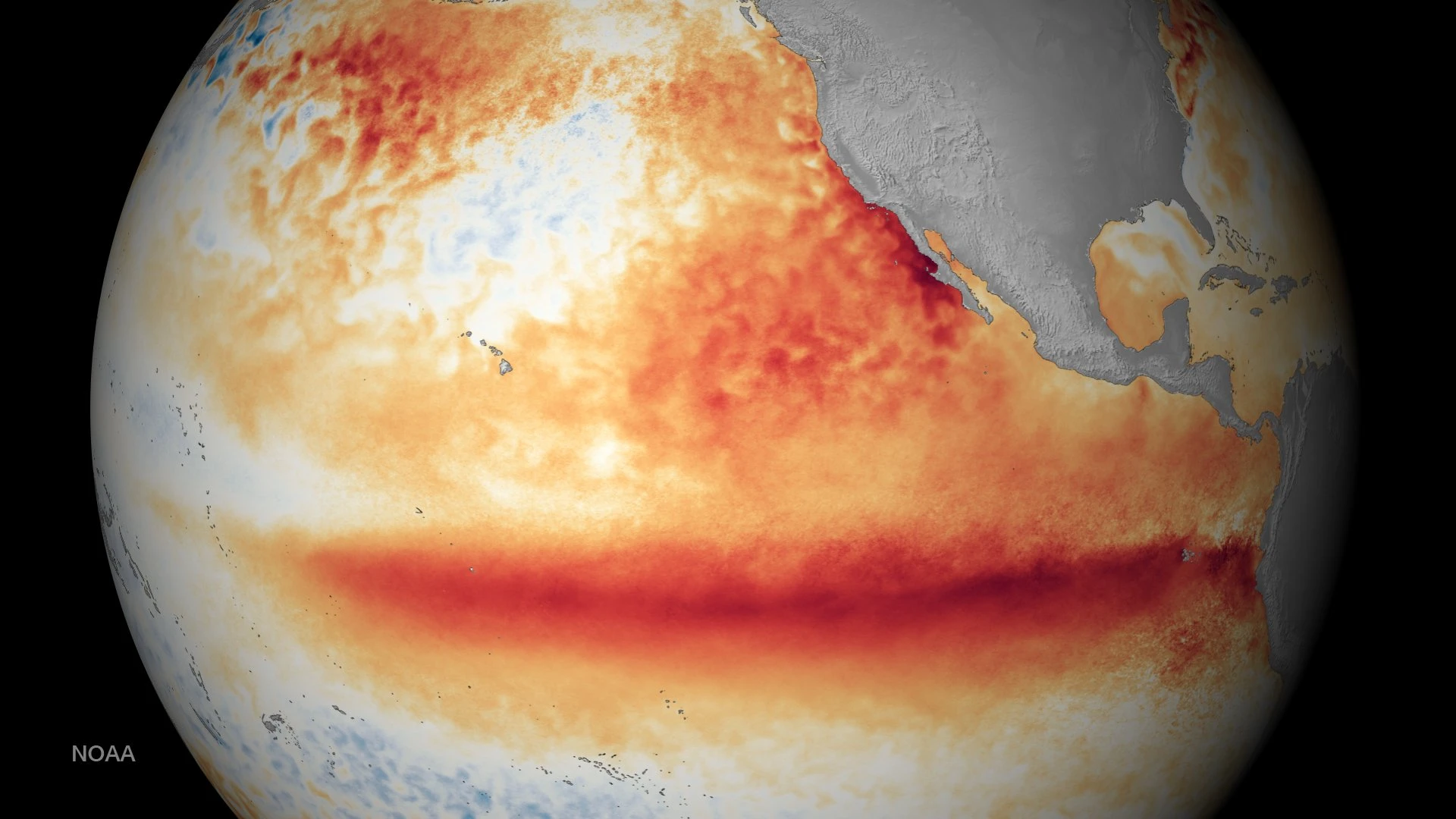 Esta imagen satelital muestra la desviación de la temperatura superficial del Océano Pacífico durante un período de fenómeno de El Niño. Fotografía de NOAA.