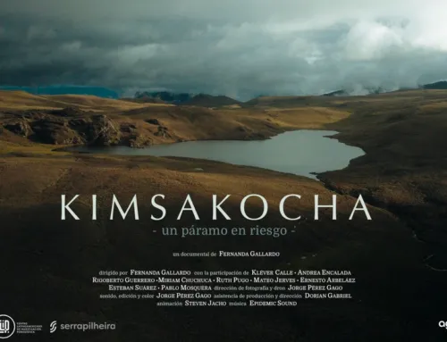 Kimsakocha, un páramo en riesgo
