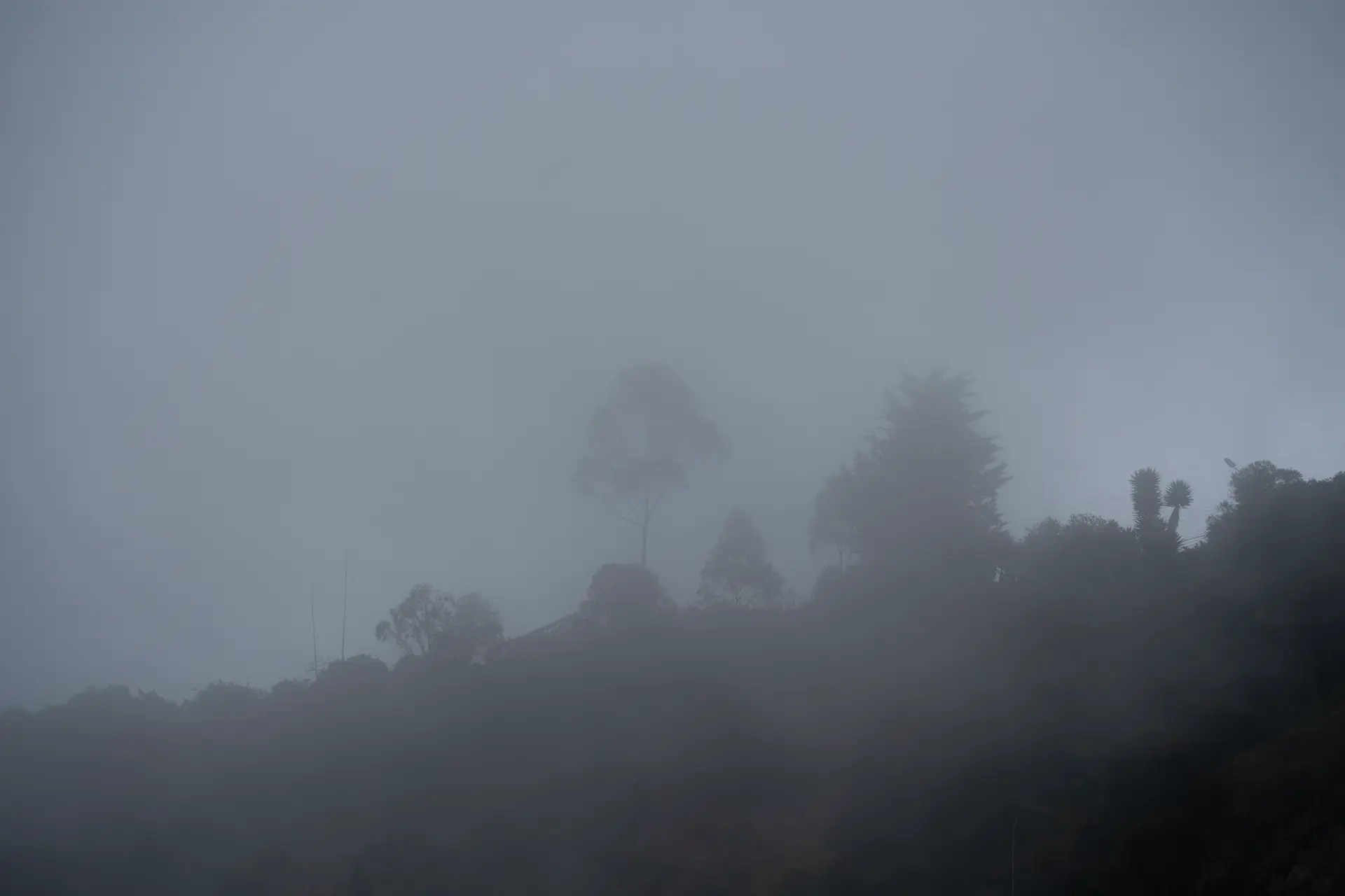 CIELOS QUITO 10