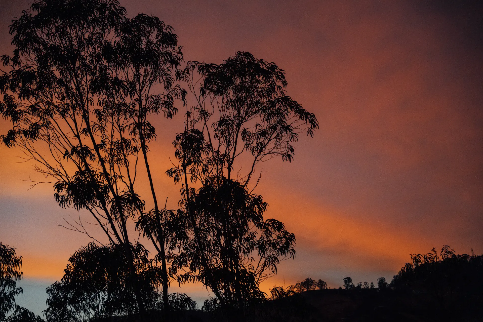 CIELOS QUITO 2