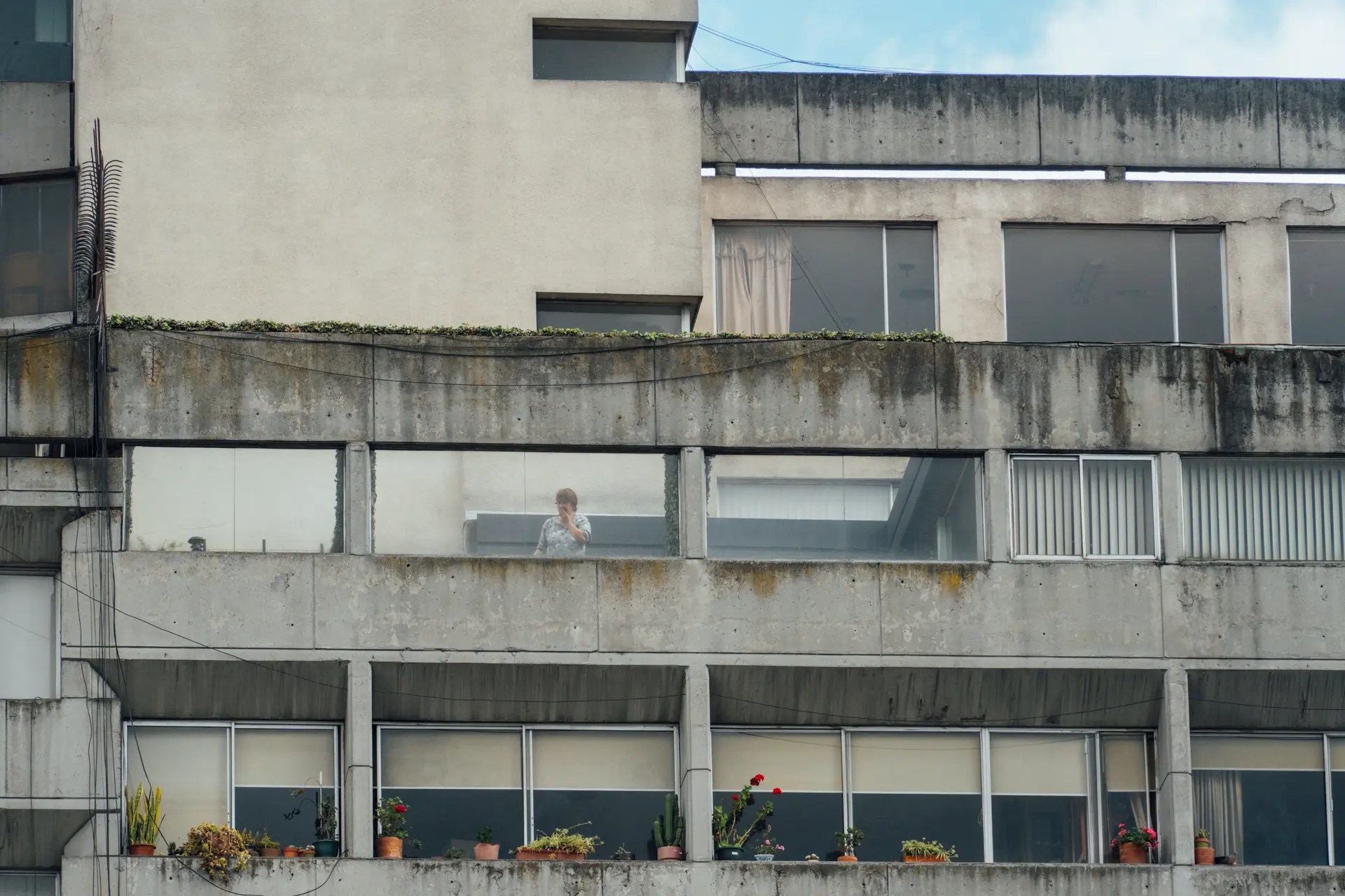 PERSONAS EN VENTANAS 12