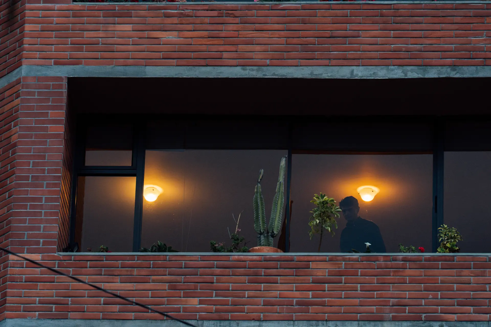 PERSONAS EN VENTANAS 15