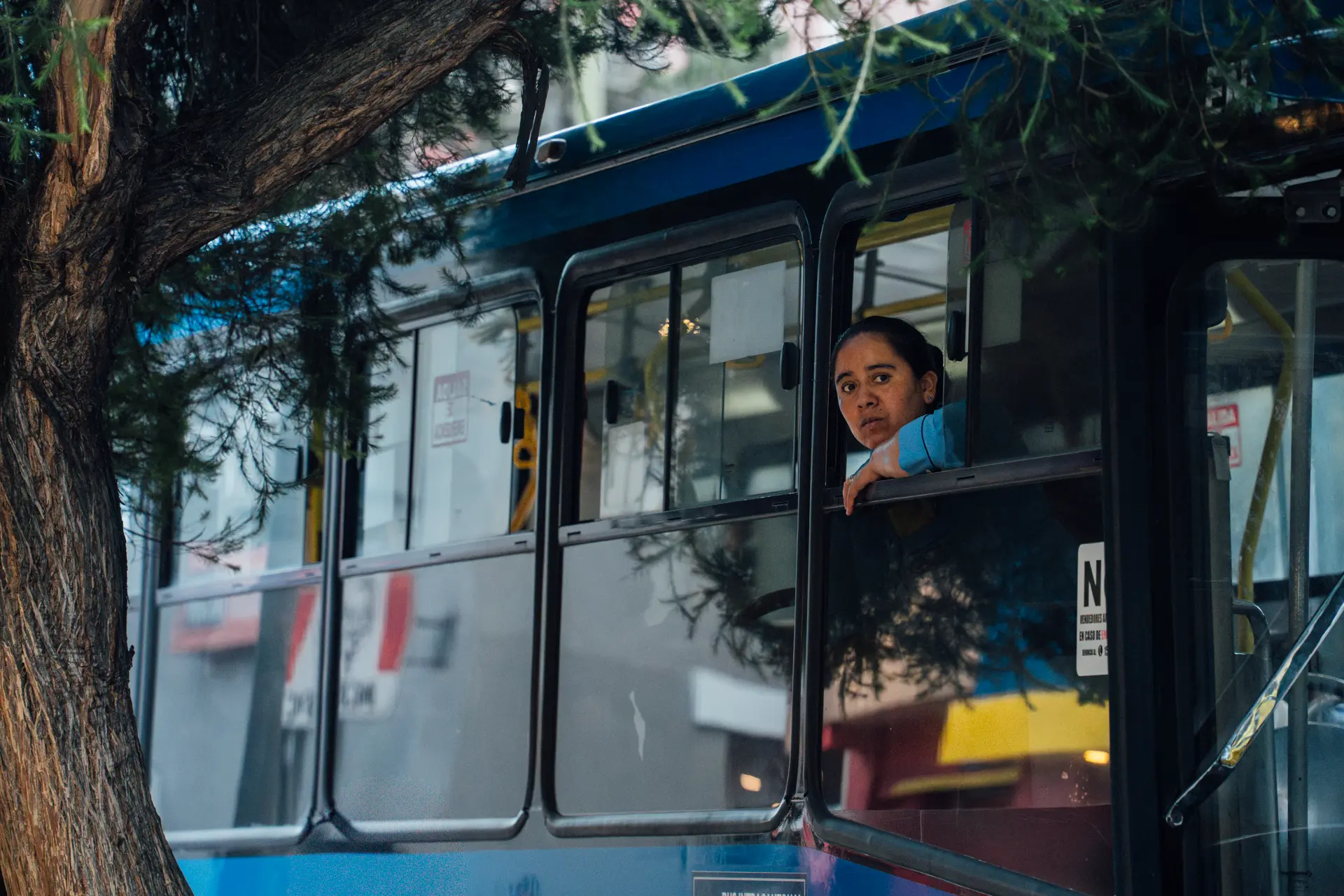 PERSONAS EN VENTANAS 2