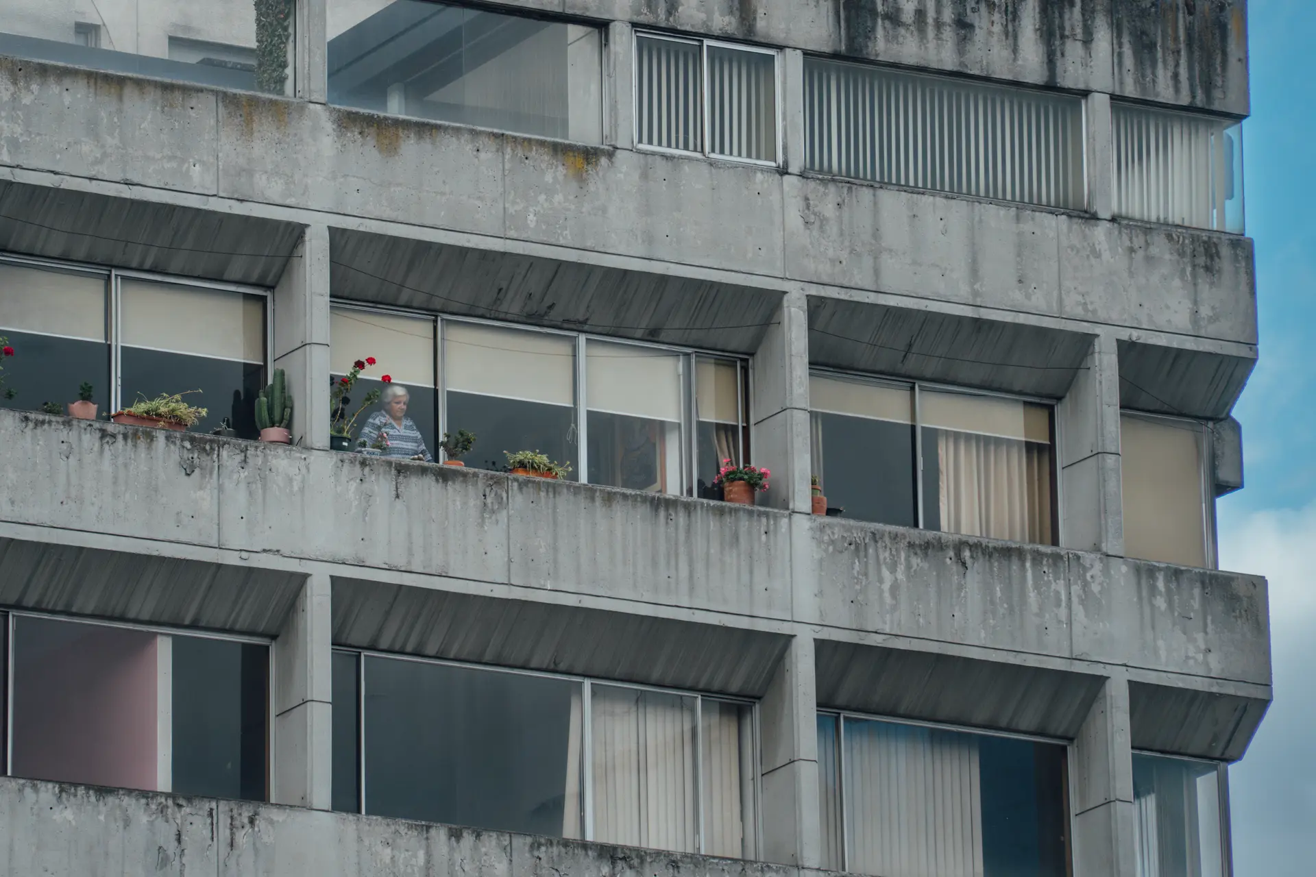 PERSONAS EN VENTANAS 3